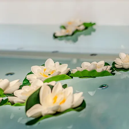 Altalena Luxury And Πανσιόν *
